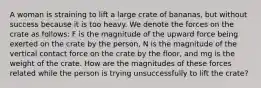 A woman is straining to lift a large crate of bananas, but without success because it is too heavy. We denote the forces on the crate as follows: F is the magnitude of the upward force being exerted on the crate by the person, N is the magnitude of the vertical contact force on the crate by the floor, and mg is the weight of the crate. How are the magnitudes of these forces related while the person is trying unsuccessfully to lift the crate?