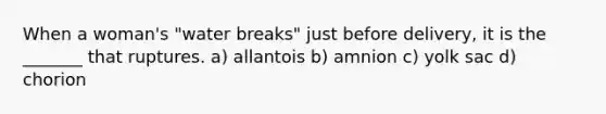 When a woman's "water breaks" just before delivery, it is the _______ that ruptures. a) allantois b) amnion c) yolk sac d) chorion