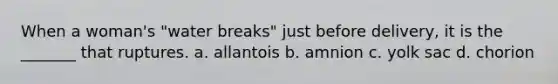 When a woman's "water breaks" just before delivery, it is the _______ that ruptures. a. allantois b. amnion c. yolk sac d. chorion