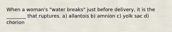 When a woman's "water breaks" just before delivery, it is the ________ that ruptures. a) allantois b) amnion c) yolk sac d) chorion