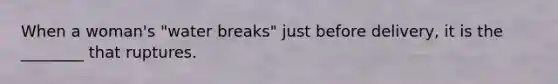 When a woman's "water breaks" just before delivery, it is the ________ that ruptures.