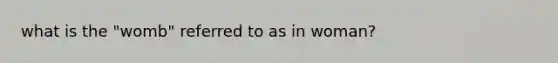 what is the "womb" referred to as in woman?