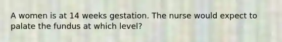 A women is at 14 weeks gestation. The nurse would expect to palate the fundus at which level?