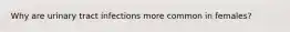 Why are urinary tract infections more common in females?