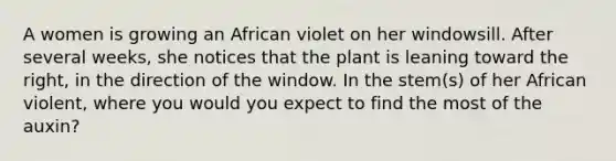 A women is growing an African violet on her windowsill. After several weeks, she notices that the plant is leaning toward the right, in the direction of the window. In the stem(s) of her African violent, where you would you expect to find the most of the auxin?