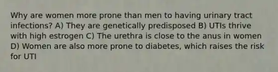 Why are women more prone than men to having urinary tract infections? A) They are genetically predisposed B) UTIs thrive with high estrogen C) The urethra is close to the anus in women D) Women are also more prone to diabetes, which raises the risk for UTI