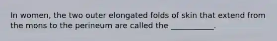 In women, the two outer elongated folds of skin that extend from the mons to the perineum are called the ___________.