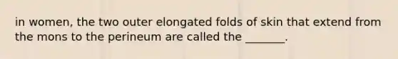 in women, the two outer elongated folds of skin that extend from the mons to the perineum are called the _______.