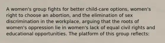 A women's group fights for better child-care options, women's right to choose an abortion, and the elimination of sex discrimination in the workplace, arguing that the roots of women's oppression lie in women's lack of equal civil rights and educational opportunities. The platform of this group reflects: