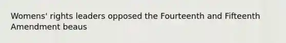 Womens' rights leaders opposed the Fourteenth and Fifteenth Amendment beaus