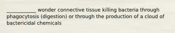 ____________ wonder connective tissue killing bacteria through phagocytosis (digestion) or through the production of a cloud of bactericidal chemicals