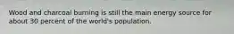 Wood and charcoal burning is still the main energy source for about 30 percent of the world's population.