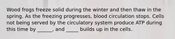 Wood frogs freeze solid during the winter and then thaw in the spring. As the freezing progresses, blood circulation stops. Cells not being served by the circulatory system produce ATP during this time by ______, and _____ builds up in the cells.