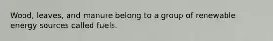 Wood, leaves, and manure belong to a group of renewable energy sources called fuels.