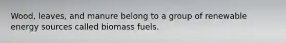 Wood, leaves, and manure belong to a group of renewable energy sources called biomass fuels.