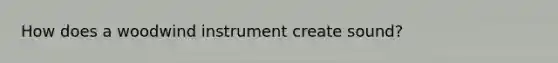 How does a woodwind instrument create sound?