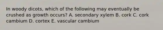 In woody dicots, which of the following may eventually be crushed as growth occurs? A. secondary xylem B. cork C. cork cambium D. cortex E. vascular cambium