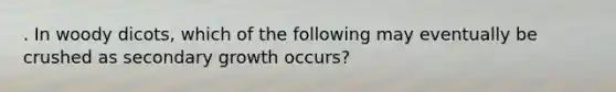 . In woody dicots, which of the following may eventually be crushed as secondary growth occurs?