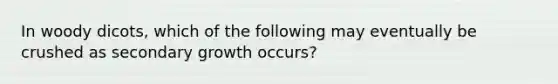 In woody dicots, which of the following may eventually be crushed as secondary growth occurs?