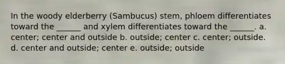 In the woody elderberry (Sambucus) stem, phloem differentiates toward the ______ and xylem differentiates toward the ______. a. center; center and outside b. outside; center c. center; outside. d. center and outside; center e. outside; outside