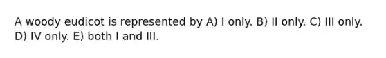 A woody eudicot is represented by A) I only. B) II only. C) III only. D) IV only. E) both I and III.