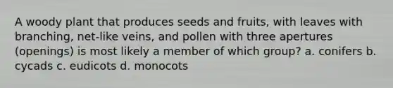 A woody plant that produces seeds and fruits, with leaves with branching, net-like veins, and pollen with three apertures (openings) is most likely a member of which group? a. conifers b. cycads c. eudicots d. monocots