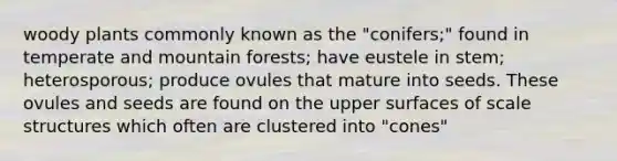 woody plants commonly known as the "conifers;" found in temperate and mountain forests; have eustele in stem; heterosporous; produce ovules that mature into seeds. These ovules and seeds are found on the upper surfaces of scale structures which often are clustered into "cones"