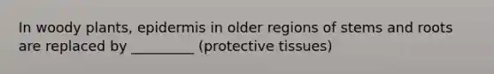 In woody plants, epidermis in older regions of stems and roots are replaced by _________ (protective tissues)