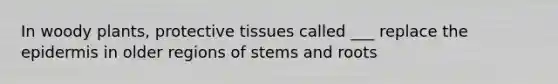 In woody plants, protective tissues called ___ replace the epidermis in older regions of stems and roots