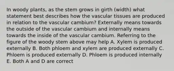 In woody plants, as the stem grows in girth (width) what statement best describes how the vascular tissues are produced in relation to the vascular cambium? Externally means towards the outside of the vascular cambium and internally means towards the inside of the vascular cambium. Referring to the figure of the woody stem above may help A. Xylem is produced externally B. Both phloem and xylem are produced externally C. Phloem is produced externally D. Phloem is produced internally E. Both A and D are correct