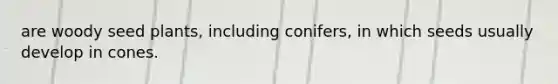 are woody seed plants, including conifers, in which seeds usually develop in cones.