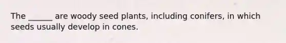 The ______ are woody seed plants, including conifers, in which seeds usually develop in cones.