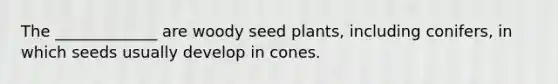 The _____________ are woody seed plants, including conifers, in which seeds usually develop in cones.