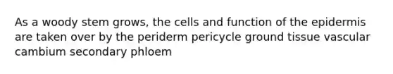 As a woody stem grows, the cells and function of the epidermis are taken over by the periderm pericycle ground tissue vascular cambium secondary phloem