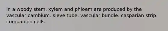 In a woody stem, xylem and phloem are produced by the vascular cambium. sieve tube. vascular bundle. casparian strip. companion cells.