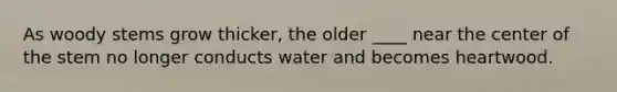 As woody stems grow thicker, the older ____ near the center of the stem no longer conducts water and becomes heartwood.