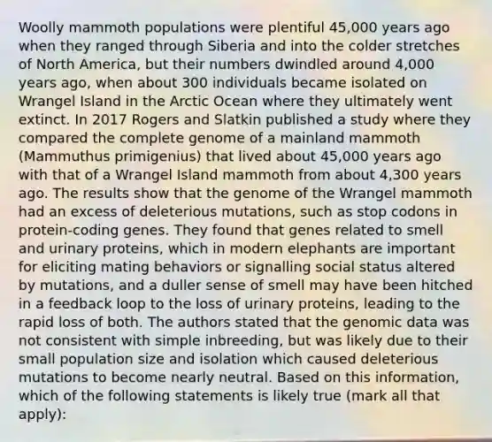 Woolly mammoth populations were plentiful 45,000 years ago when they ranged through Siberia and into the colder stretches of North America, but their numbers dwindled around 4,000 years ago, when about 300 individuals became isolated on Wrangel Island in the Arctic Ocean where they ultimately went extinct. In 2017 Rogers and Slatkin published a study where they compared the complete genome of a mainland mammoth (Mammuthus primigenius) that lived about 45,000 years ago with that of a Wrangel Island mammoth from about 4,300 years ago. The results show that the genome of the Wrangel mammoth had an excess of deleterious mutations, such as stop codons in protein-coding genes. They found that genes related to smell and urinary proteins, which in modern elephants are important for eliciting mating behaviors or signalling social status altered by mutations, and a duller sense of smell may have been hitched in a feedback loop to the loss of urinary proteins, leading to the rapid loss of both. The authors stated that the genomic data was not consistent with simple inbreeding, but was likely due to their small population size and isolation which caused deleterious mutations to become nearly neutral. Based on this information, which of the following statements is likely true (mark all that apply):