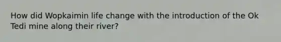 How did Wopkaimin life change with the introduction of the Ok Tedi mine along their river?