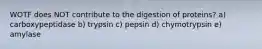 WOTF does NOT contribute to the digestion of proteins? a) carboxypeptidase b) trypsin c) pepsin d) chymotrypsin e) amylase