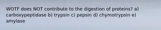 WOTF does NOT contribute to the digestion of proteins? a) carboxypeptidase b) trypsin c) pepsin d) chymotrypsin e) amylase