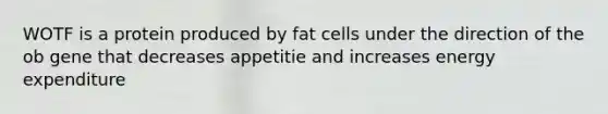 WOTF is a protein produced by fat cells under the direction of the ob gene that decreases appetitie and increases energy expenditure