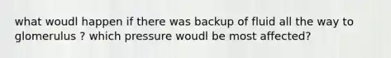 what woudl happen if there was backup of fluid all the way to glomerulus ? which pressure woudl be most affected?