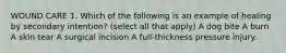 WOUND CARE 1. Which of the following is an example of healing by secondary intention? (select all that apply) A dog bite A burn A skin tear A surgical incision A full-thickness pressure injury.