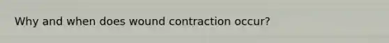 Why and when does wound contraction occur?