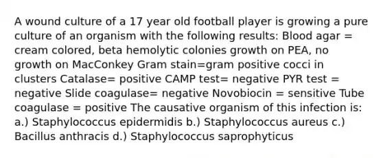 A wound culture of a 17 year old football player is growing a pure culture of an organism with the following results: Blood agar = cream colored, beta hemolytic colonies growth on PEA, no growth on MacConkey Gram stain=gram positive cocci in clusters Catalase= positive CAMP test= negative PYR test = negative Slide coagulase= negative Novobiocin = sensitive Tube coagulase = positive The causative organism of this infection is: a.) Staphylococcus epidermidis b.) Staphylococcus aureus c.) Bacillus anthracis d.) Staphylococcus saprophyticus