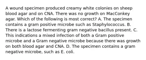 A wound specimen produced creamy white colonies on sheep blood agar and on CNA. There was no growth on MacConkey agar. Which of the following is most correct? A. The specimen contains a gram positive microbe such as Staphylococcus. B. There is a lactose fermenting gram negative bacillus present. C. This indications a mixed infection of both a Gram positive microbe and a Gram negative microbe because there was growth on both blood agar and CNA. D. The specimen contains a gram negative microbe, such as E. coli.