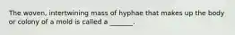 The woven, intertwining mass of hyphae that makes up the body or colony of a mold is called a _______.