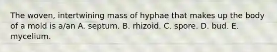 The woven, intertwining mass of hyphae that makes up the body of a mold is a/an A. septum. B. rhizoid. C. spore. D. bud. E. mycelium.