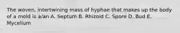 The woven, intertwining mass of hyphae that makes up the body of a mold is a/an A. Septum B. Rhizoid C. Spore D. Bud E. Mycelium