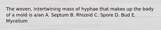 The woven, intertwining mass of hyphae that makes up the body of a mold is a/an A. Septum B. Rhizoid C. Spore D. Bud E. Mycelium